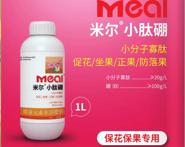 核桃