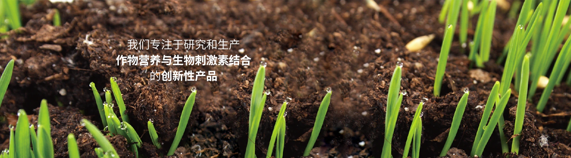 image01